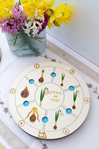 Ciclul de viata ghiocel- puzzle montessori