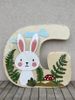 Litere decorative - pentru firme, gradinite, scoli 